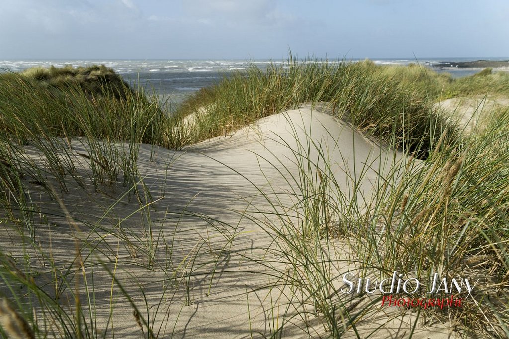 Photos Berck-sur-Mer 