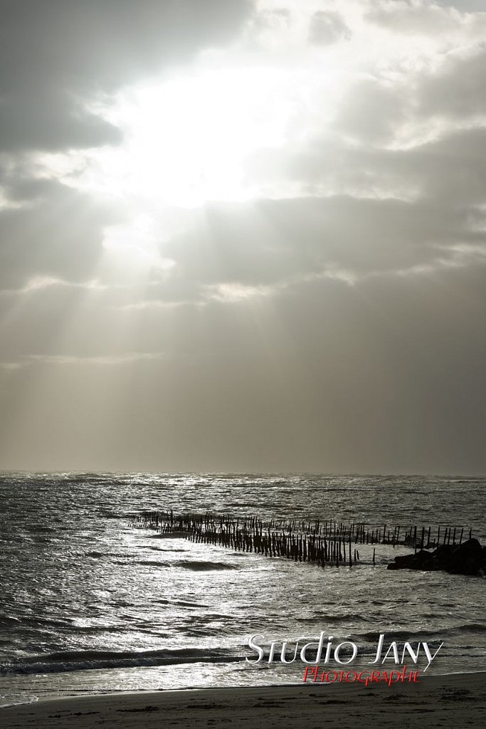 Berck-sur-Mer-0196.jpg