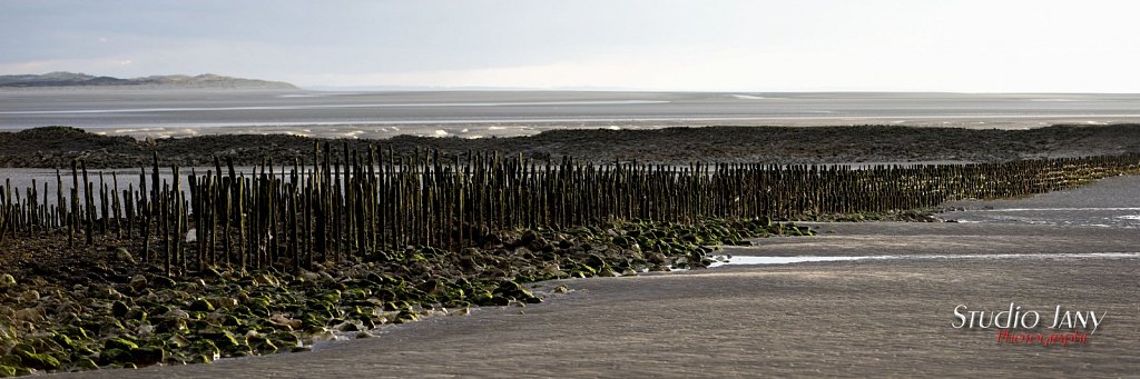 Berck-sur-Mer-0250.jpg