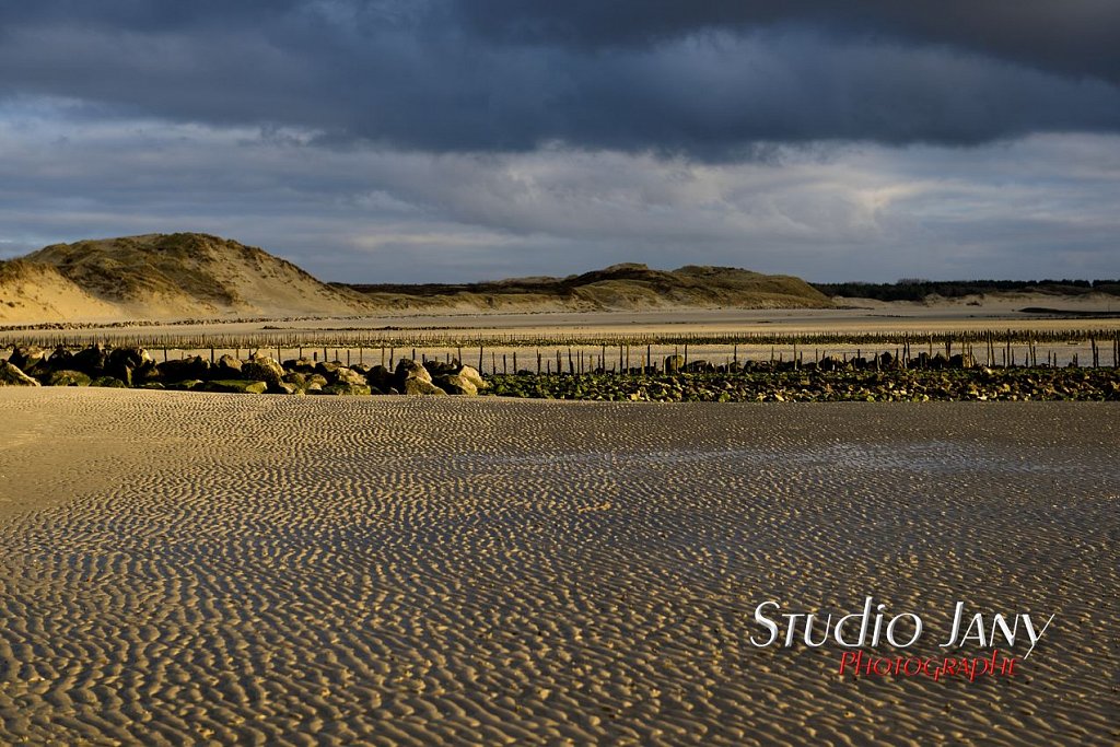 Berck-sur-Mer-0251.jpg