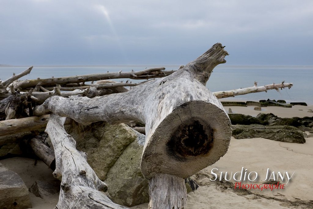 Berck-sur-Mer-0276.jpg