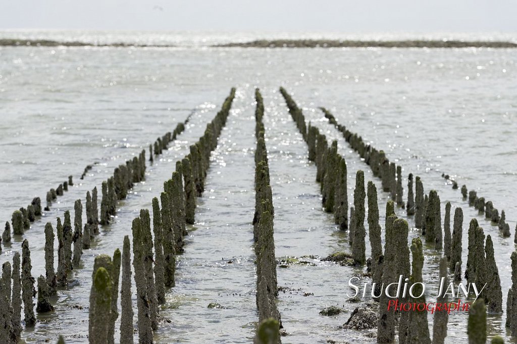 Berck-sur-Mer-0308.jpg