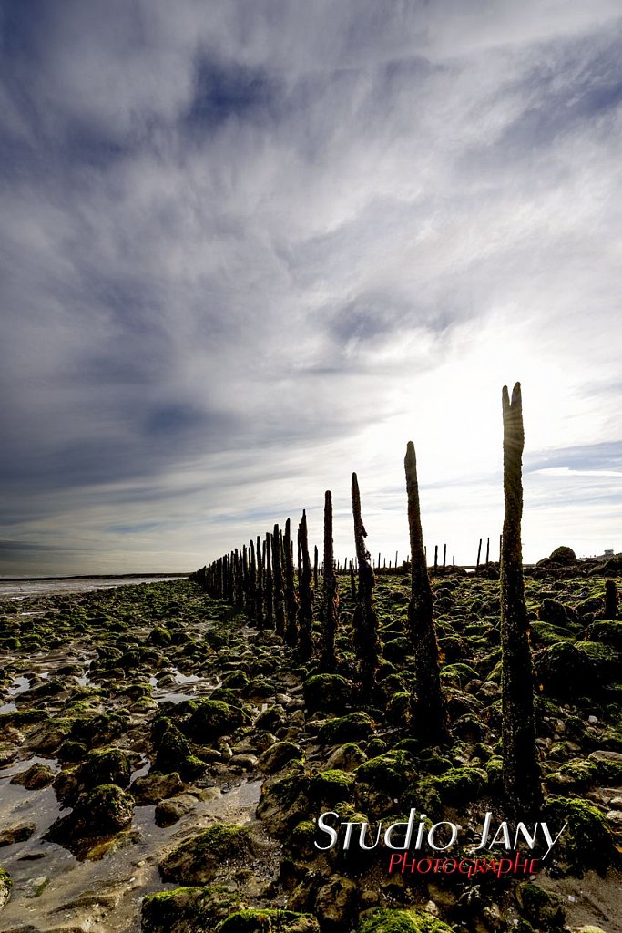 Berck-sur-Mer-0320.jpg