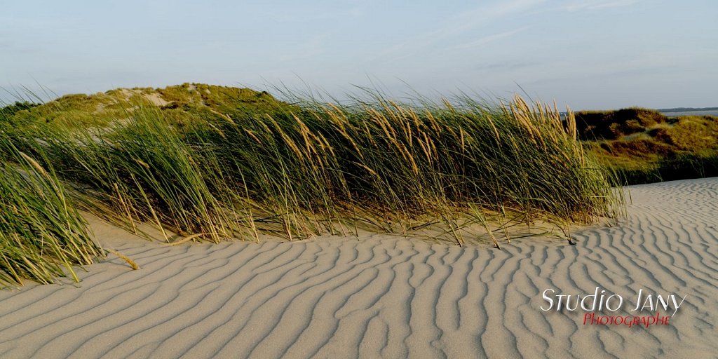 Berck-sur-Mer-0445.jpg