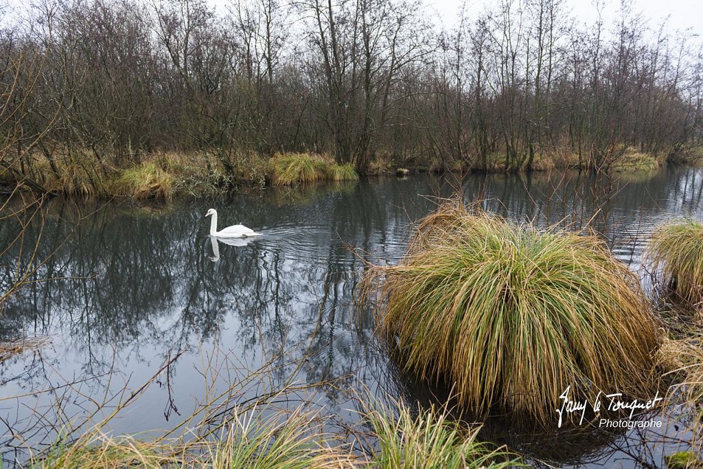 Notre-Campagne-0162.jpg
