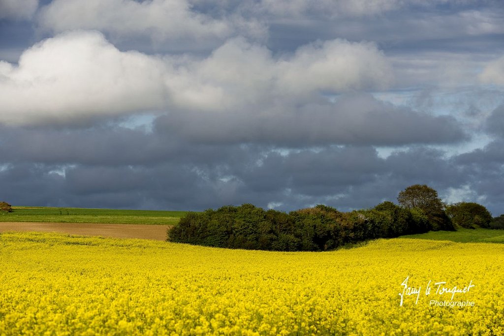 Notre-Campagne-0096.jpg