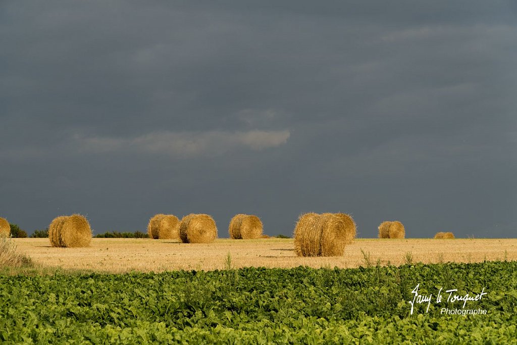 Notre-Campagne-0185.jpg