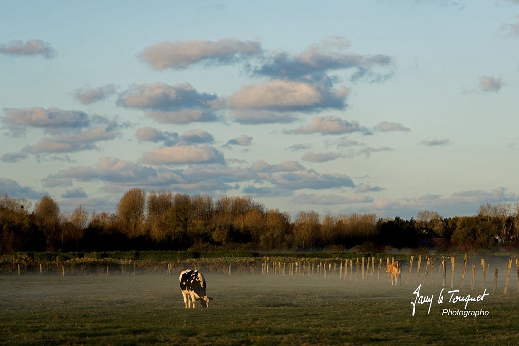 Notre-Campagne-0134.jpg