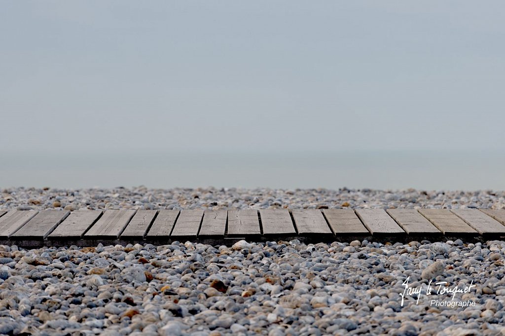 Baie-de-Somme-0156.jpg