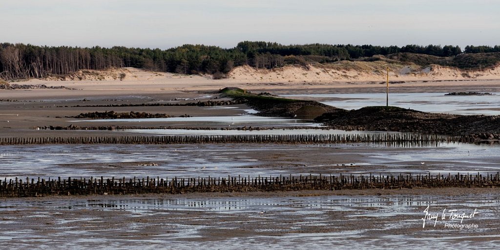 Berck-sur-Mer-0483.jpg