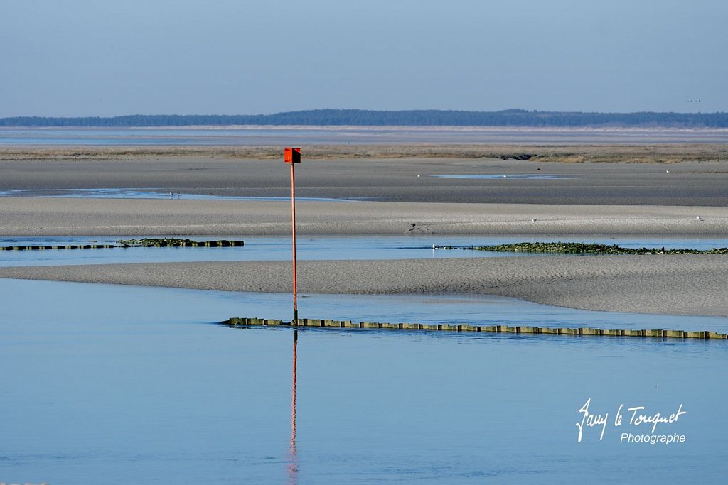 Baie-de-Somme-0180.jpg