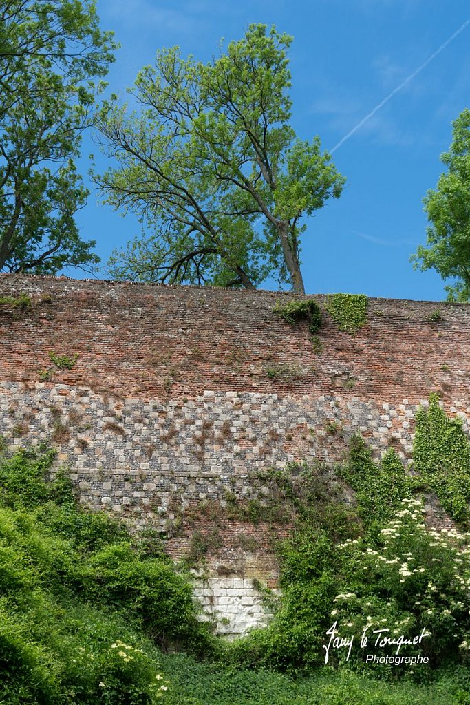 Montreuil-sur-Mer-0127.jpg