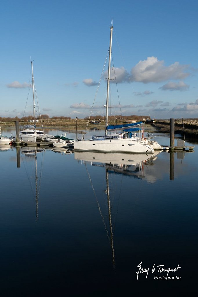 Baie-de-Somme-0280.jpg