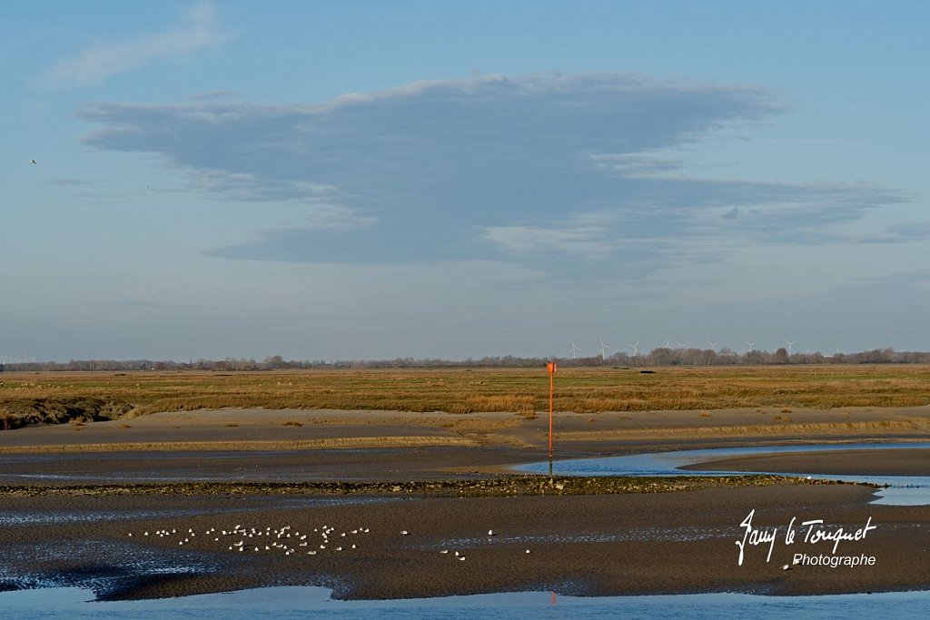 Baie-de-Somme-0302.jpg