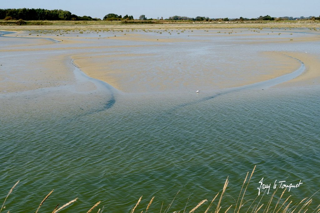 Baie-de-Somme-0344.jpg