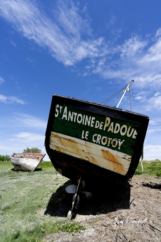 Baie-de-Somme-0368.jpg