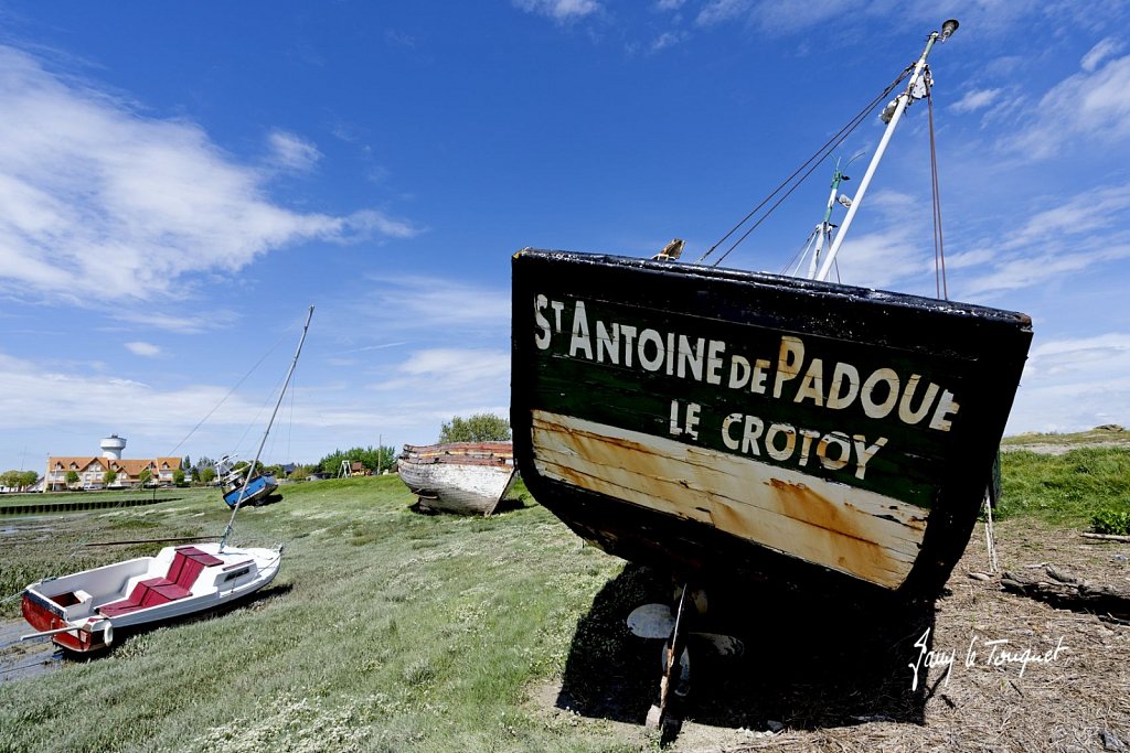 Baie-de-Somme-0369.jpg