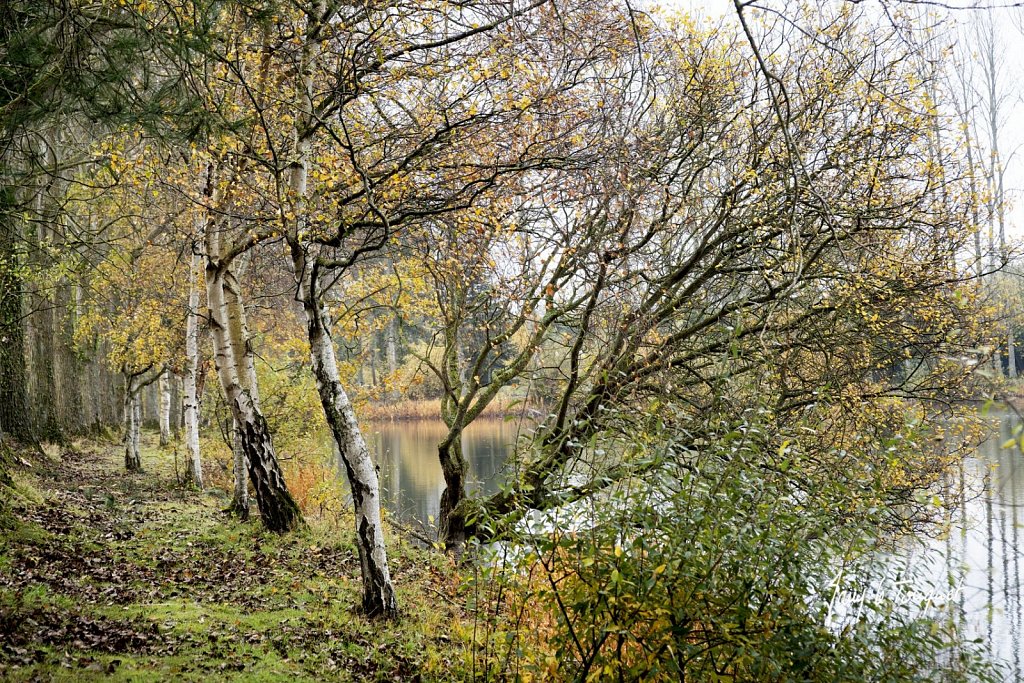 Notre-Campagne-0343.jpg