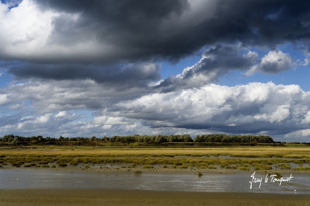 Baie-de-Somme-0415.jpg