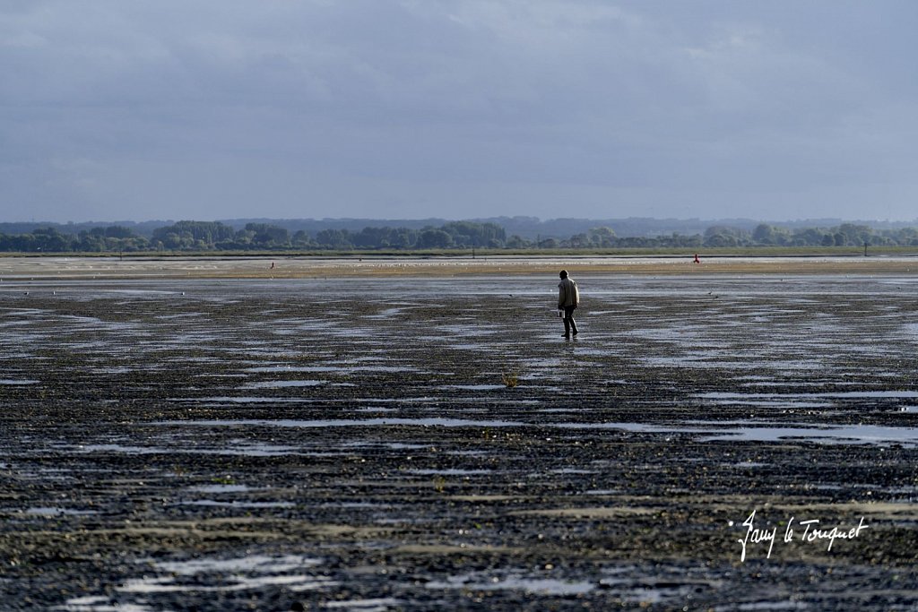 Baie-de-Somme-0420.jpg