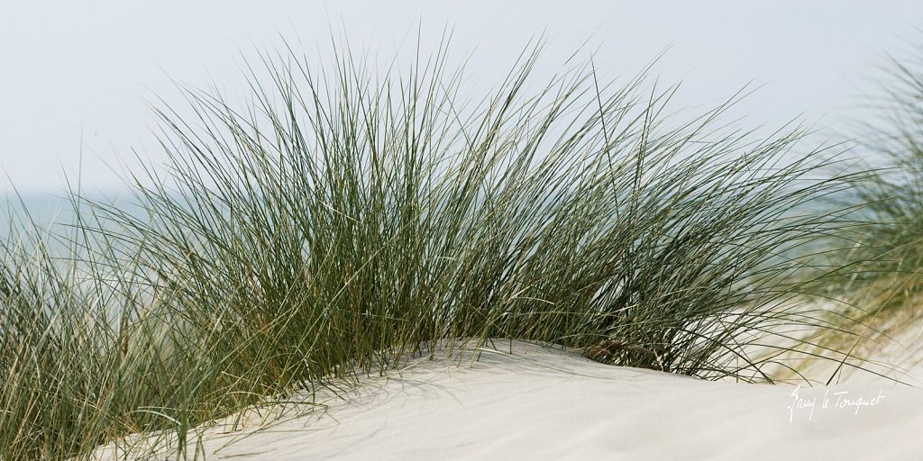 Le-Touquet-1014.jpg