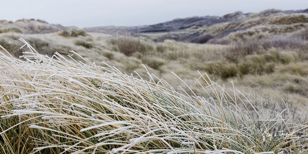 Le-Touquet-1105.jpg