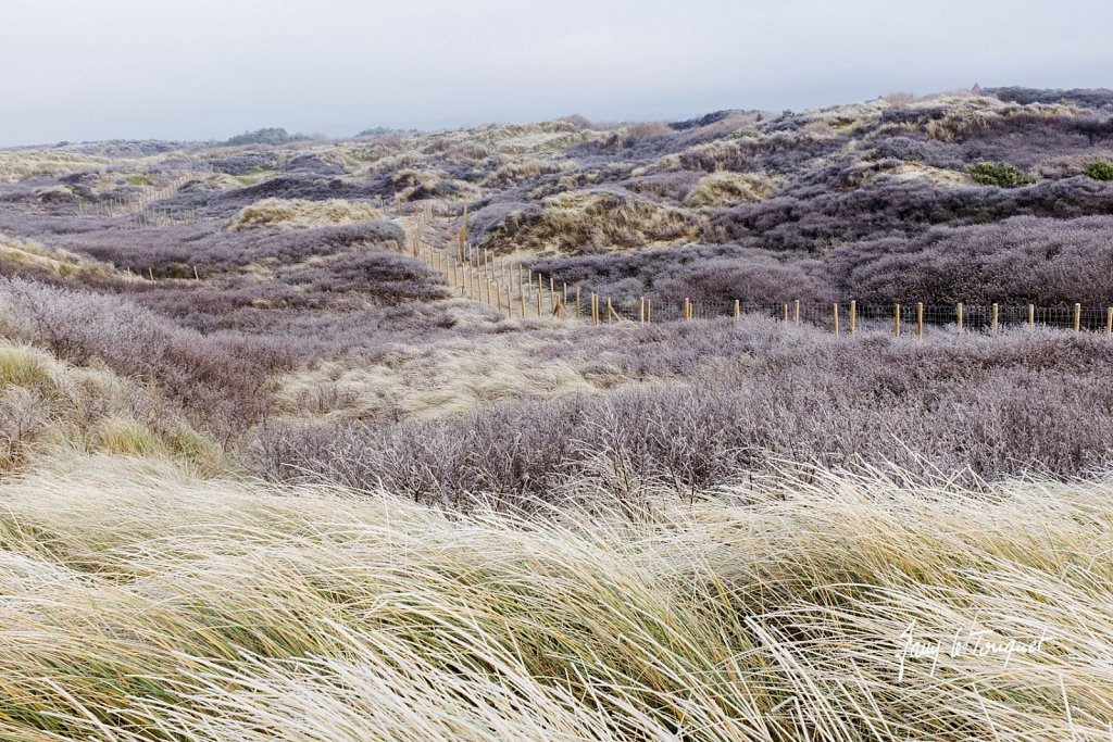Le-Touquet-1108.jpg