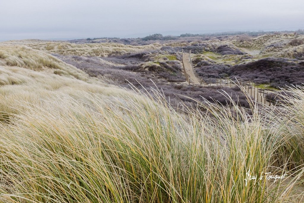 Le-Touquet-1109.jpg