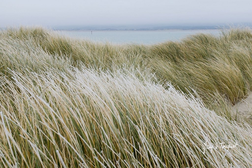Le-Touquet-1115.jpg