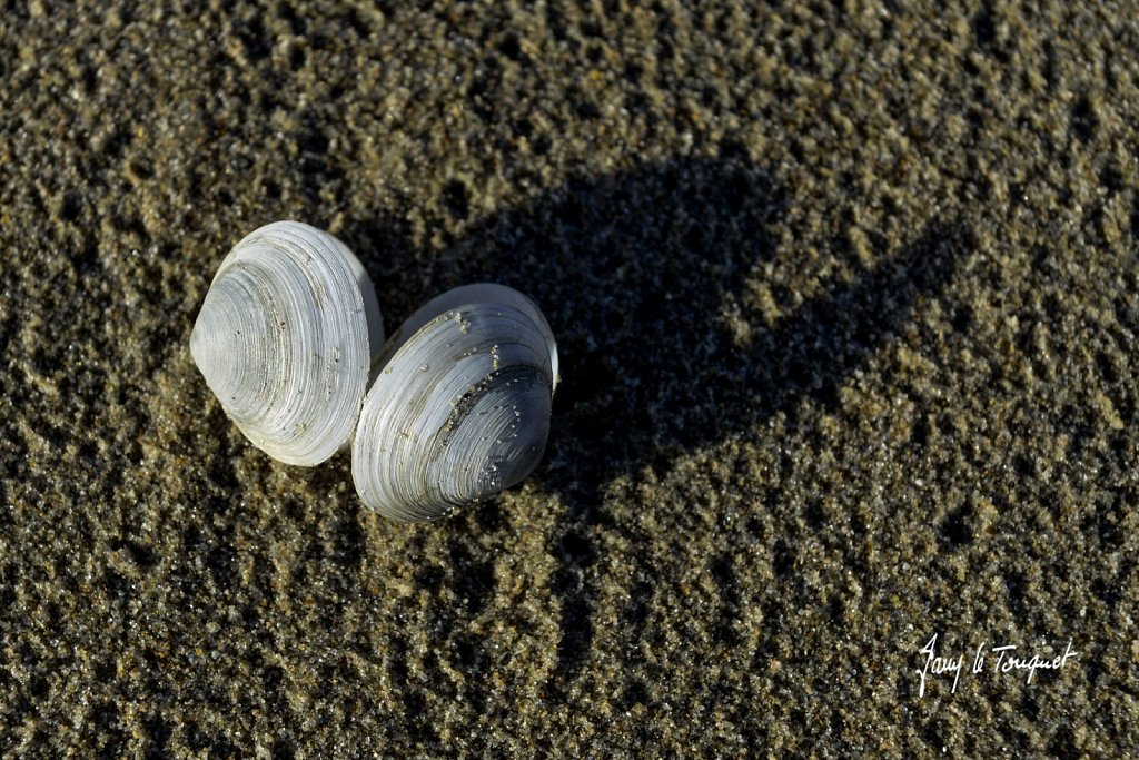 Le-Touquet-1122.jpg