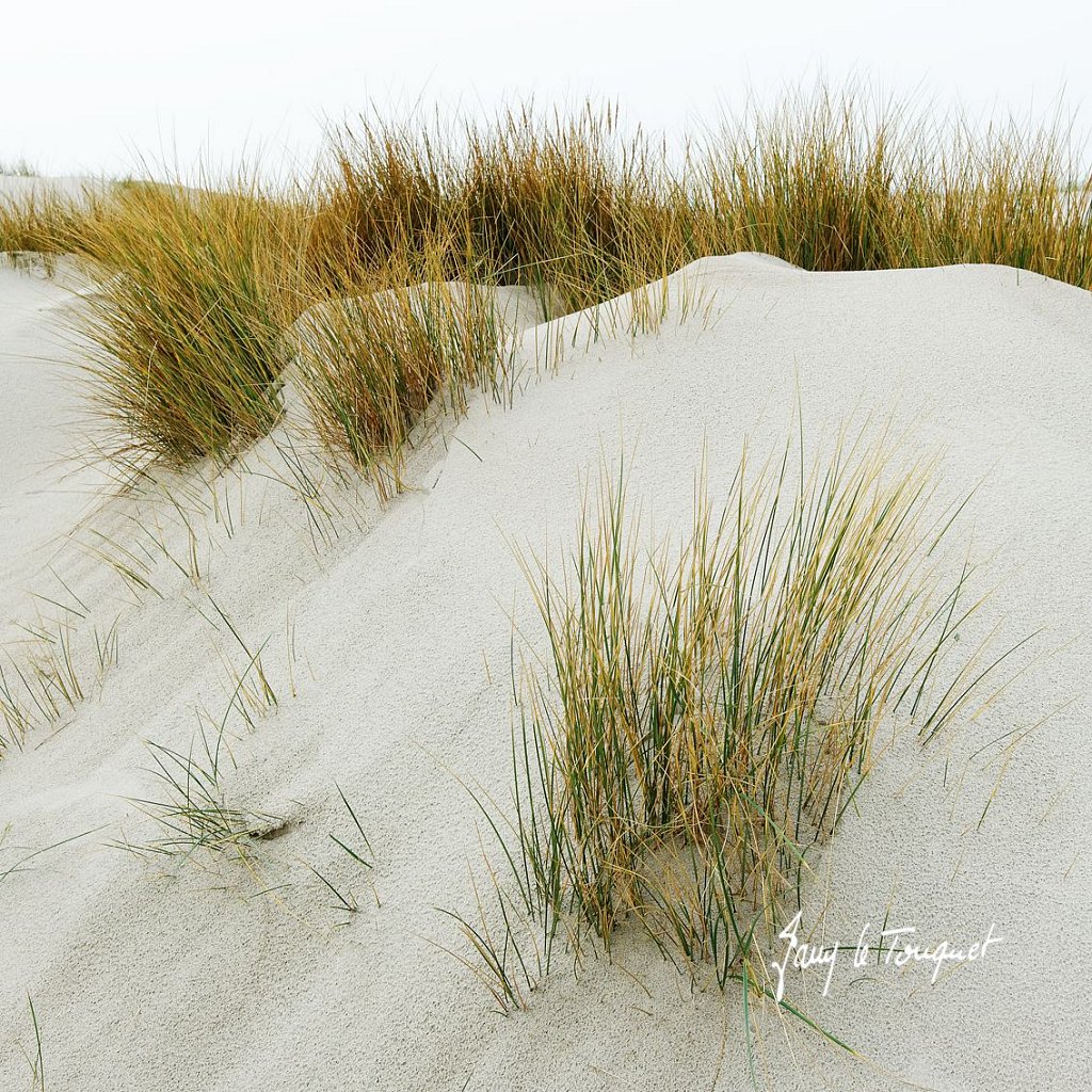 Le-Touquet-0245.jpg