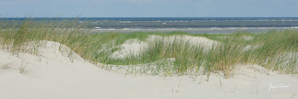 Le-Touquet-0363.jpg