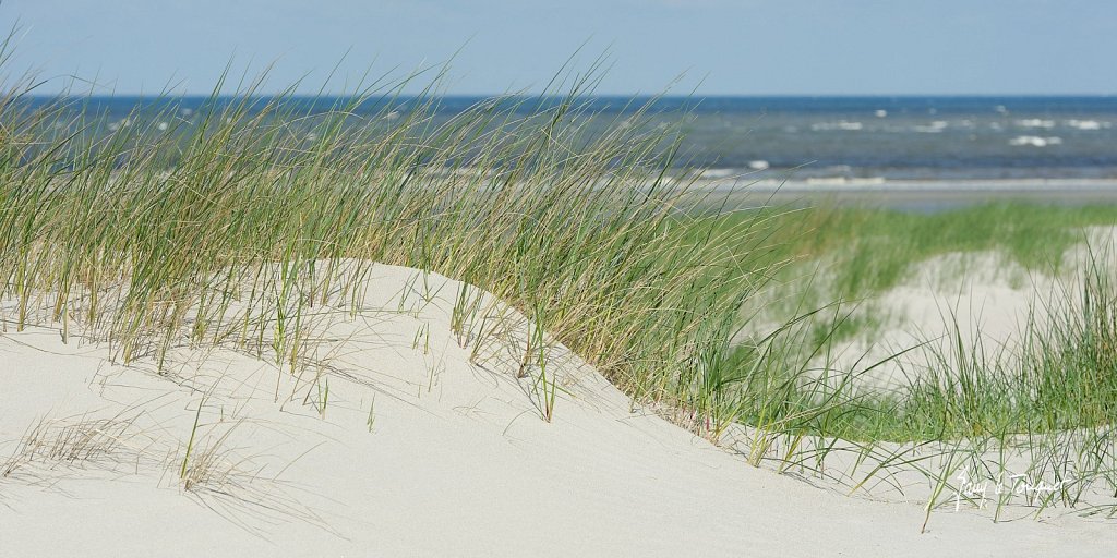 Le-Touquet-0364.jpg