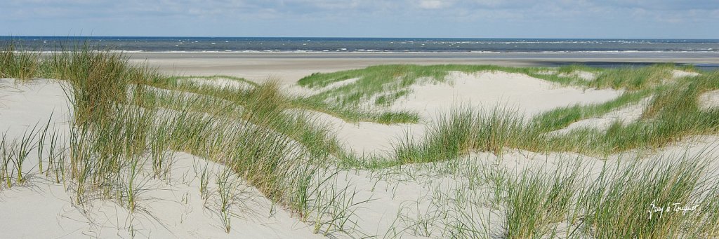 Le-Touquet-0365.jpg