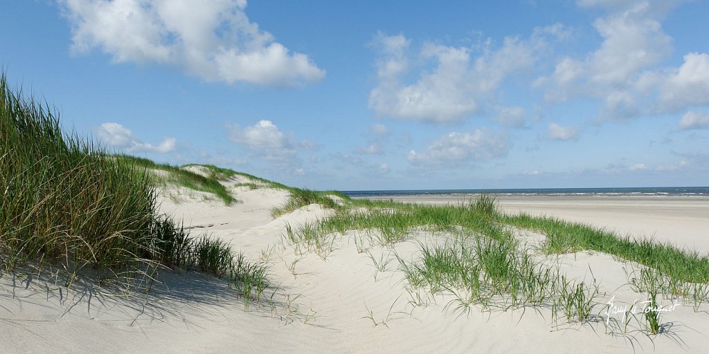 Le-Touquet-0367.jpg