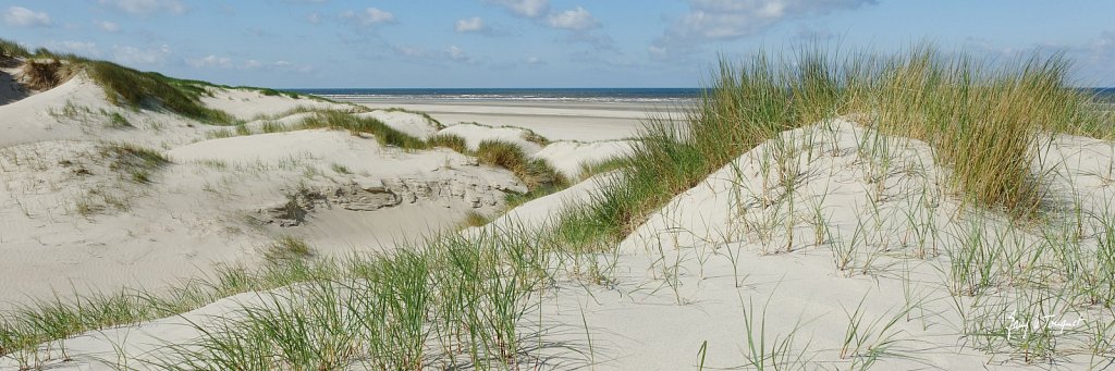 Le-Touquet-0375.jpg