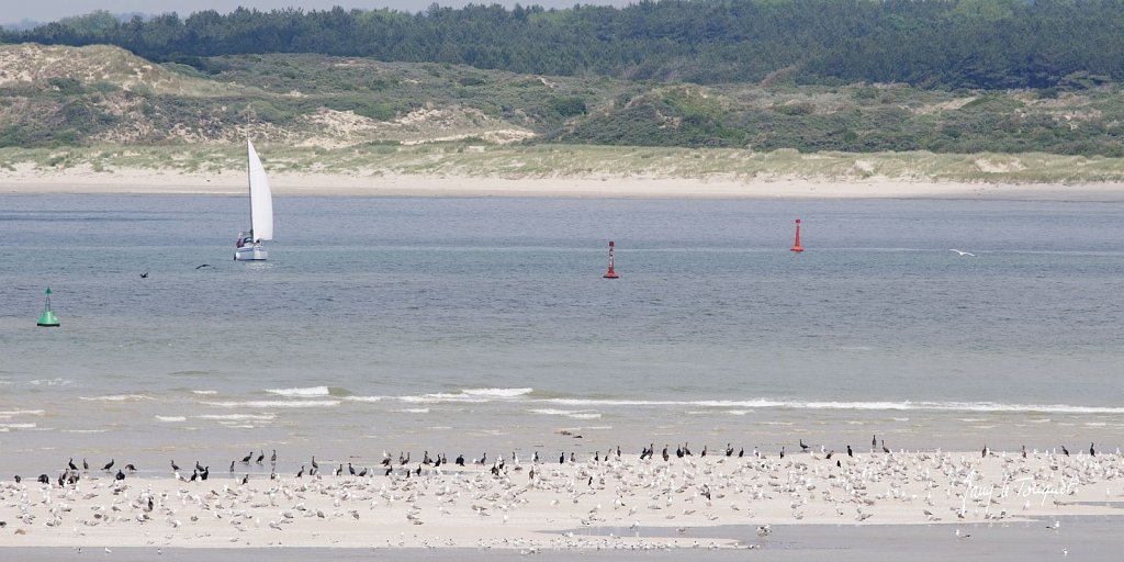 Le-Touquet-0435.jpg