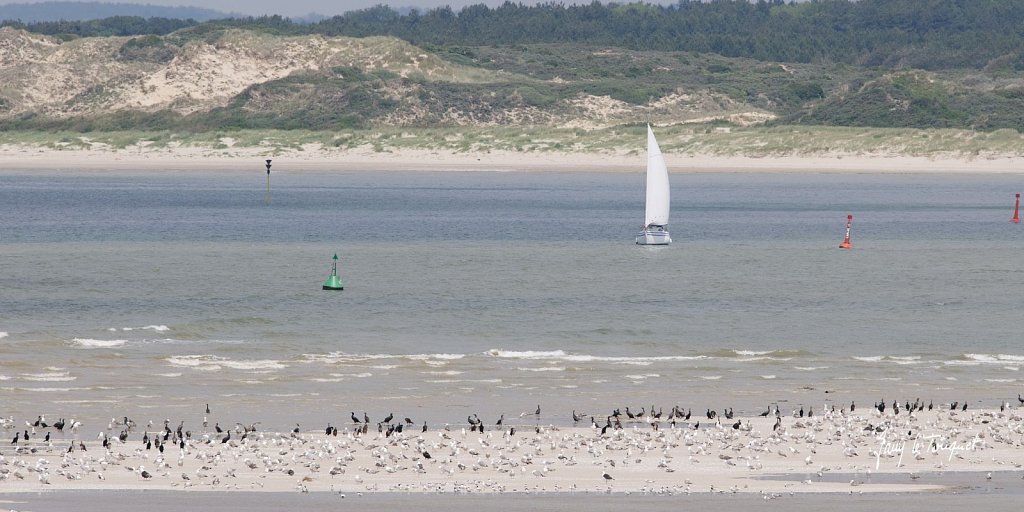 Le-Touquet-0437.jpg