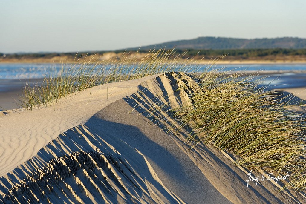 Le-Touquet-0574.jpg