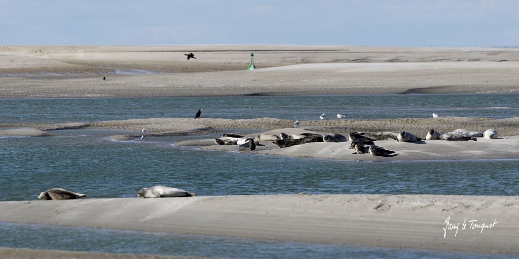 Le-Touquet-0978.jpg