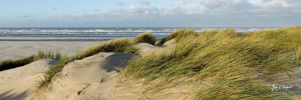 Le-Touquet-1096.jpg