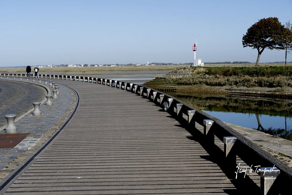 Baie-de-Somme-0428.jpg