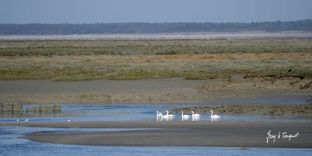 Baie-de-Somme-0430.jpg