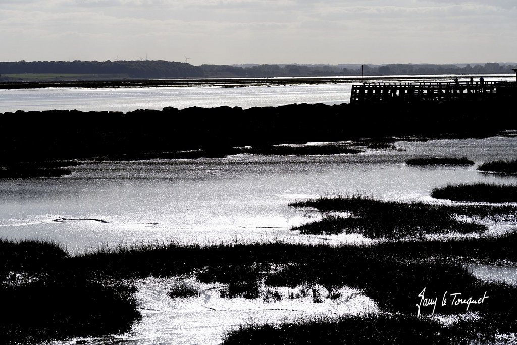 Baie-de-Somme-0442.jpg