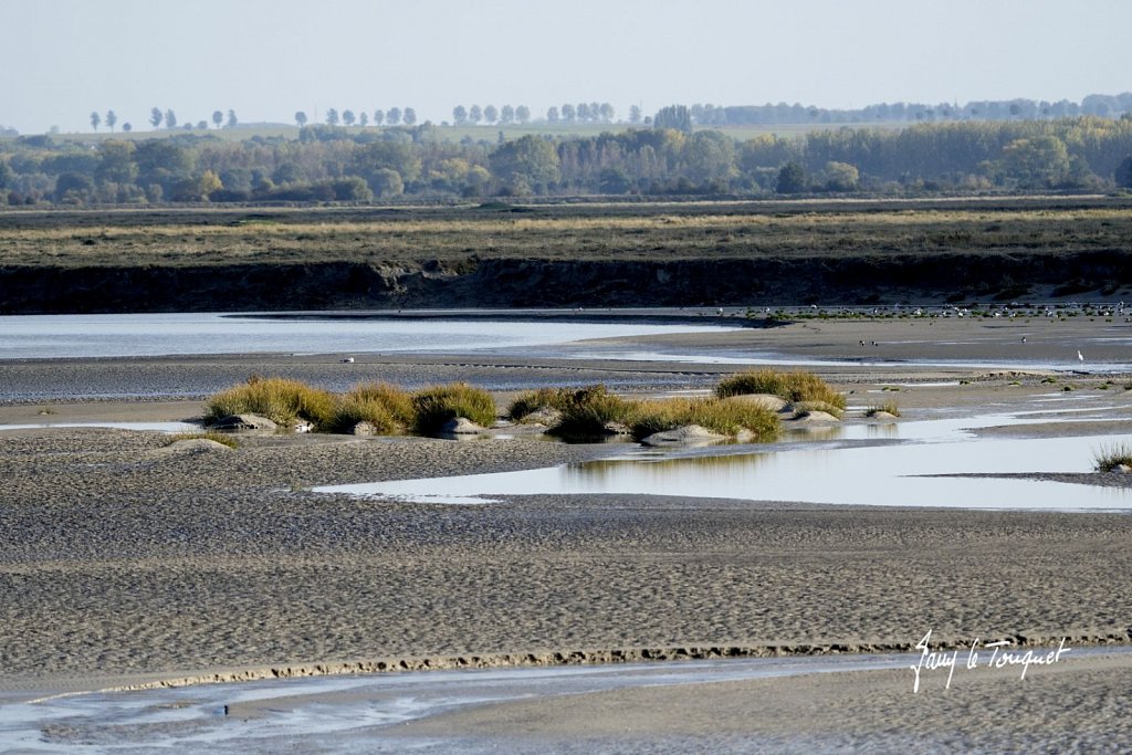 Baie-de-Somme-0445.jpg