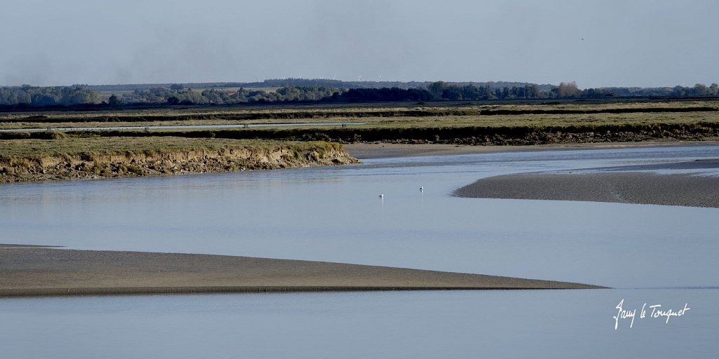 Baie-de-Somme-0446.jpg