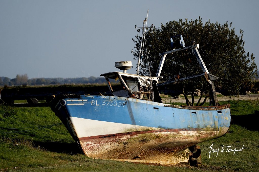 Baie-de-Somme-0451.jpg