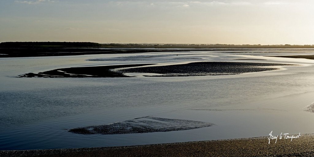 Baie-de-Somme-0455.jpg