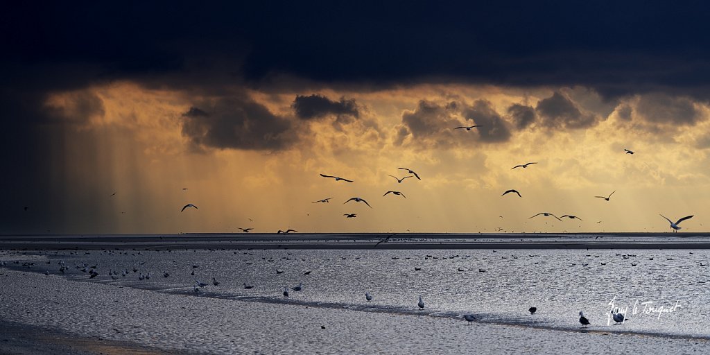 Berck-sur-Mer-0938.jpg