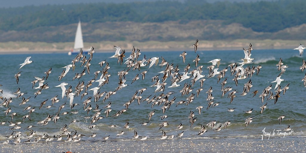 Le-Touquet-0277.jpg